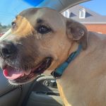 Jerry Lee Lewis Grier - @jerryleelg - Instagram