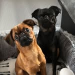 jagger_and_jerry_griffis - @jagger_and_jerry_griffis - Instagram