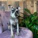 Jerry Gruber - Facebook