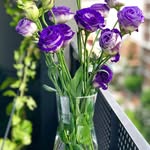 Jerry Guy - @jerry.guy.50364 - Instagram
