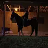 jerrypaulhackney - @jerrypaulhackney - TikTok