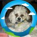 Jerry Haddock - Facebook