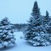 Jerry Haggerty - Facebook