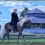 Jerry Hatton - @jerry.hatton - Instagram