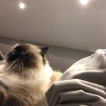 Jeremiah Headrick - @jerryfiv3 - Instagram