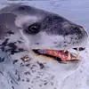 jerryhebert973 - @jerryhebert973 - TikTok