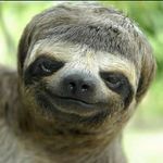 Jerry Heimbigner - @jerryheimbigner - Instagram