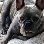 Jerri Sue Hemphill - @jerrisuehemphill - Instagram