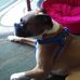 Jerry Hemphill - Facebook