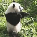 Jerry Hendricks - @jteam60101 - Instagram