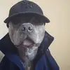 Jerry hendricks - @jerry038484 - TikTok