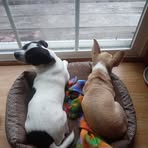 Jerry Hennessy - Facebook
