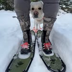 Jerry Herrod - @jerryherrodalaska - Instagram