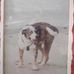 Jerry Highsmith - Facebook