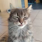 Jerry - @jerryhoffmann2020 - Instagram