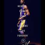 Jerry Holbert - @jerry_holbert - Instagram