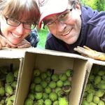 Jerry Hoppe - @jerry.hoppe.7 - Instagram