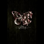 jerry - @online_shopping_by_jerry - Instagram