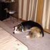 Jerry Hostler - Facebook