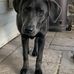 Jerry Houpt - Facebook