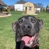 jerryhoupt - @jerryhoupt - TikTok
