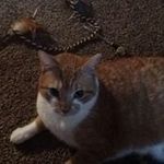 Jerry Huffines - @jerryhuffines - Instagram
