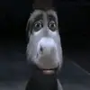 JaredHughes - @jerryhugs25 - TikTok