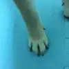 Jerry Hung - @2172366804 - TikTok