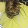 Jerry Hung - @2177846795 - TikTok