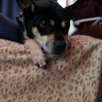 Jerry Huntley - @killerkilller22 - Instagram