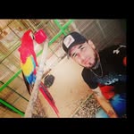 jerry hurtado - @jerryhurtado829 - Instagram
