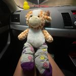 jerry hutton - @jerryscooladventures - Instagram