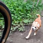 Jerry Hutton - @_huttonjerry_ - Instagram