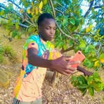 Jerry Ibrahim - @jerryibrahim34 - Instagram