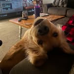 Jerry Imes - @jerryimes - Instagram