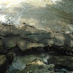 Jerry Irons - @jirons11 - Instagram