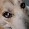 jerrylives1 - @jerrylives1 - TikTok