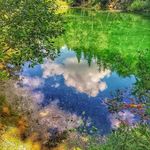 Jerry Jacobi - @jerryjacobi6 - Instagram