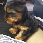Jerry Jacobsen - @jacobsen7164 - Instagram