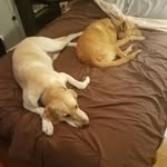 Jerry JACOBSEN - @jmj3071 - Instagram
