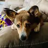 Jerry Janisch788 - @jerryjanisch788 - TikTok