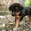 Jerry jara - @jerco125 - TikTok