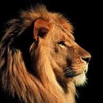 Jerry Jared - @jerry.jared.9 - Instagram