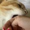 jerry_jerrard - @jerryjerrardcat - TikTok