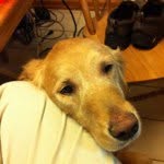 @jerrykean - Instagram