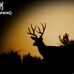 Gerry Kearns - Facebook
