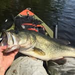 Jerry Kearns - @iyak4bass - Instagram