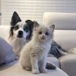 jerry_kelly - @jerry_kelly__ - Instagram