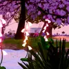Jerry Kellum725 - @p00fy.puffsxx - TikTok