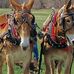 Jerry Keltner - Facebook